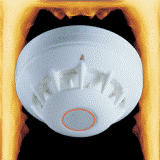 (image for) Texecom FT64/4W Fixed Heat Detector