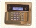 (image for) Castle Care Tech Flushmount Contemporary Keypad in Brass