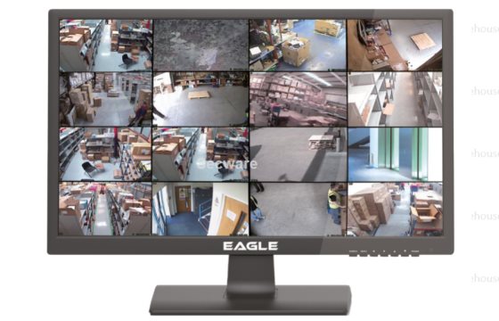(image for) Eagle 21.5” 1080P Full HD LED Monitor