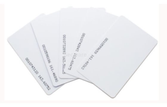 (image for) Secware MFLEX Classic Print Card